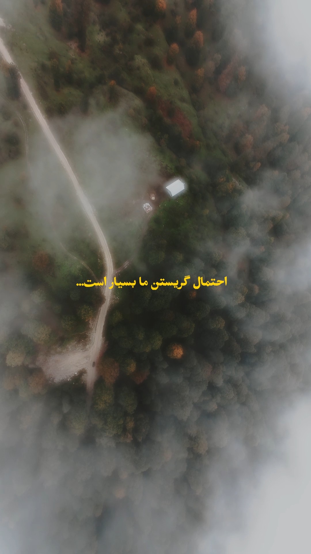 گزیده شعر فروغ