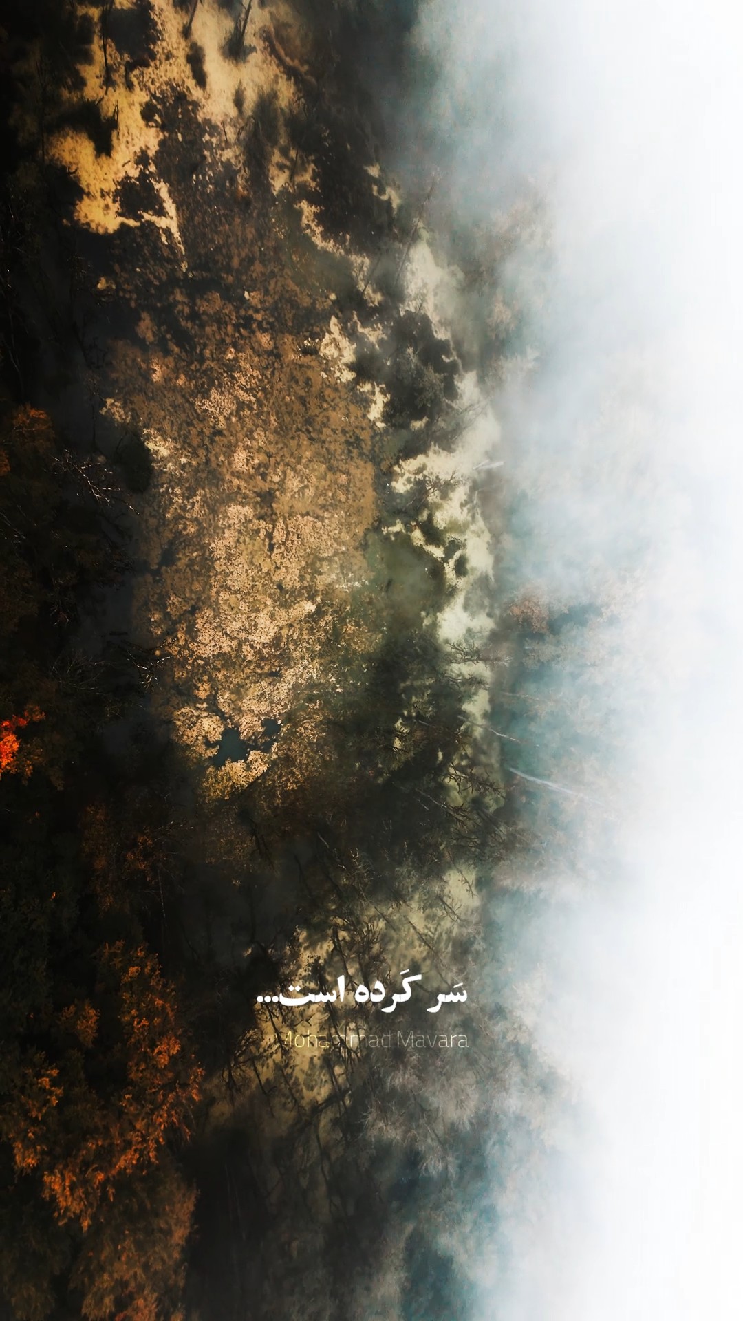 مرداب دریوک